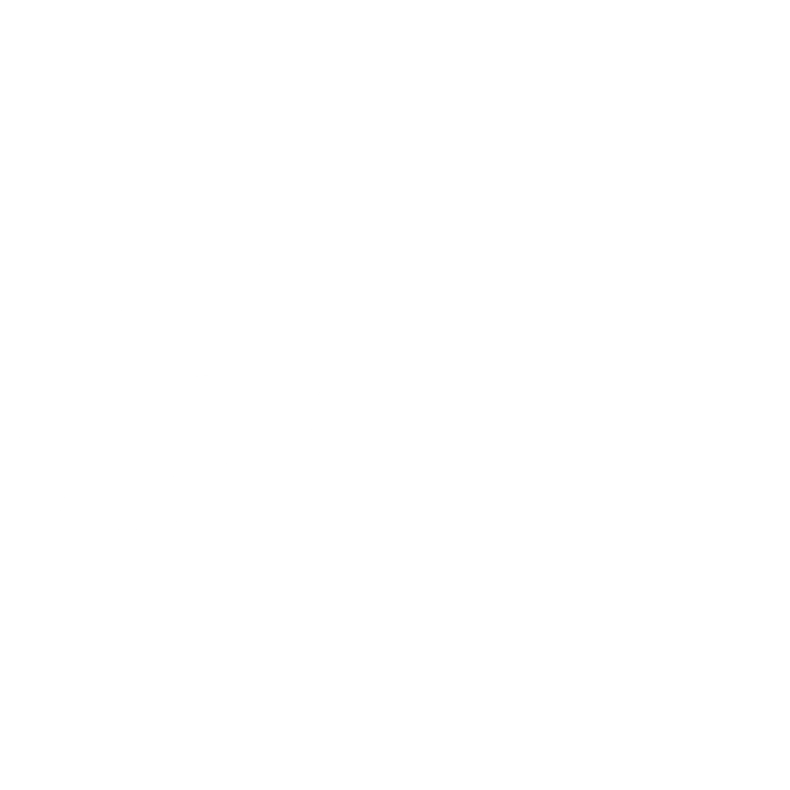 Site Logo - Skylink Infosolutions & Software Development Company